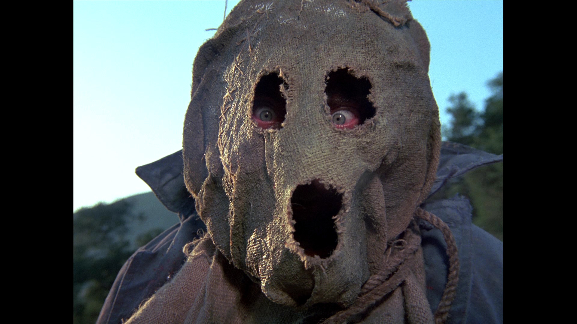 Dark Night Of The Scarecrow [1981 TV Movie]